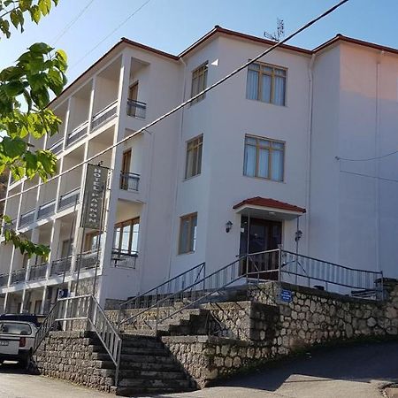 Parnon Hotel Agios Petros  Экстерьер фото